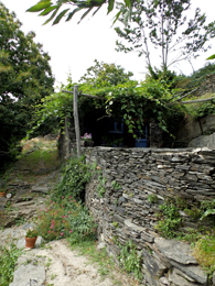Mur en pierre sèche Lou Cabanis